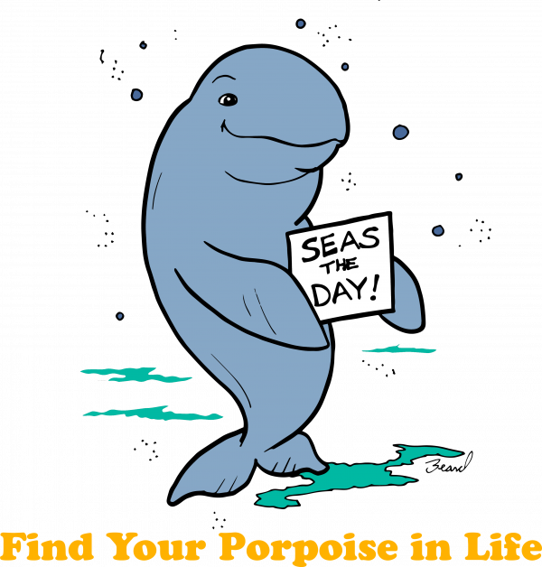 A porpoise holding a sign that says "seas the day" with a caption "Find Your Porpoise in Life"