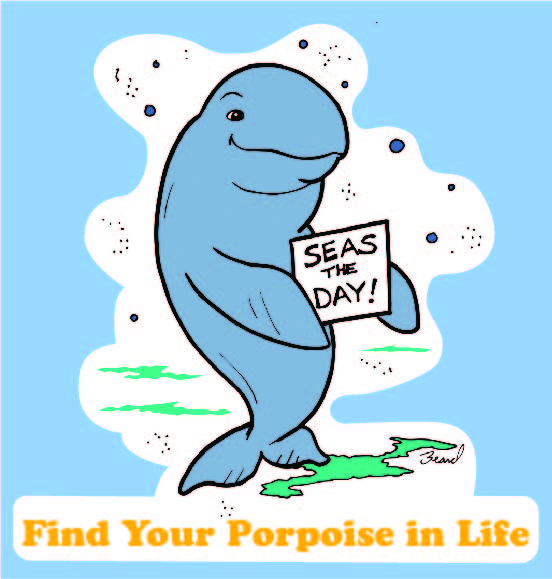 Find Your Porpoise Sticker